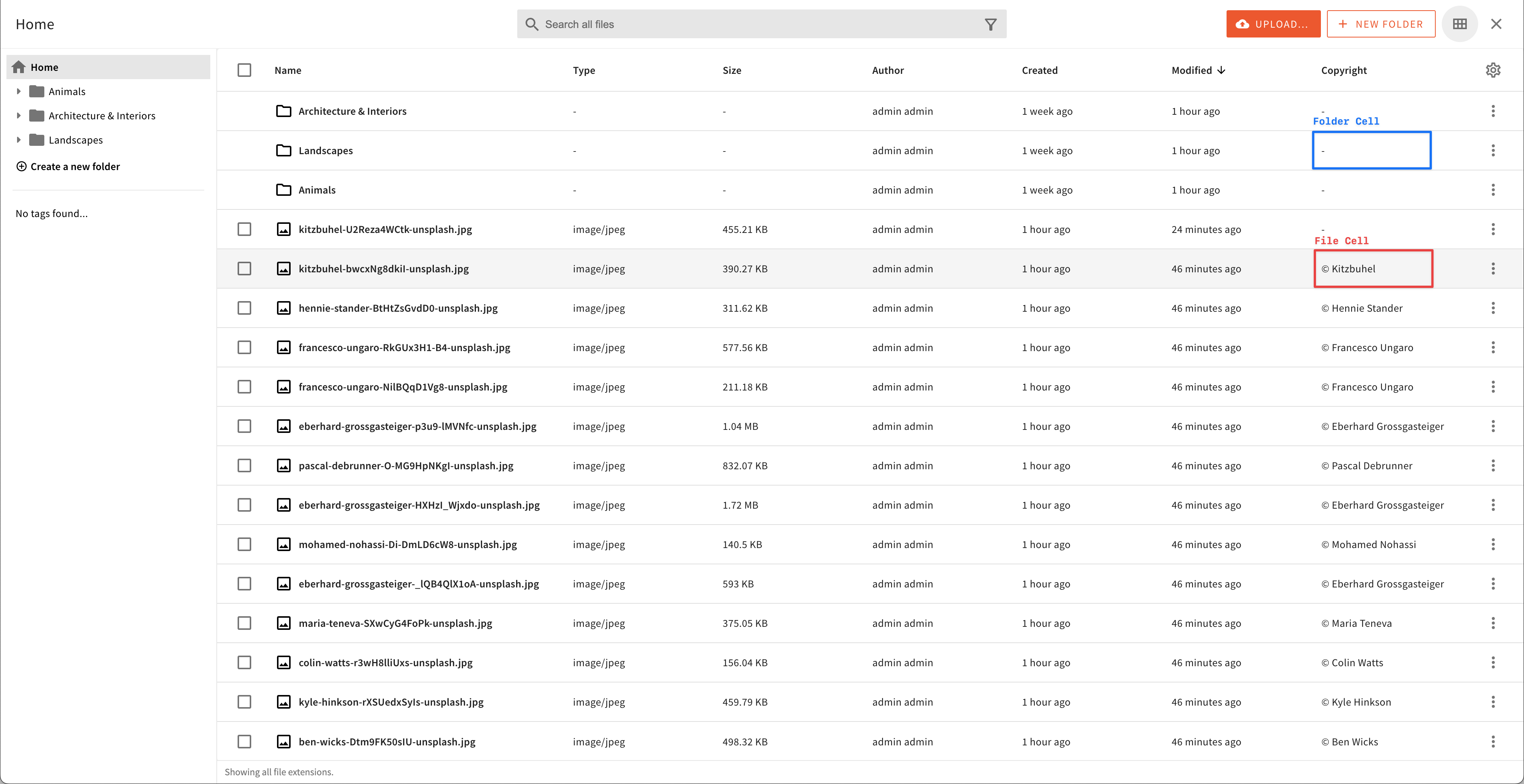 Define a custom cell renderer